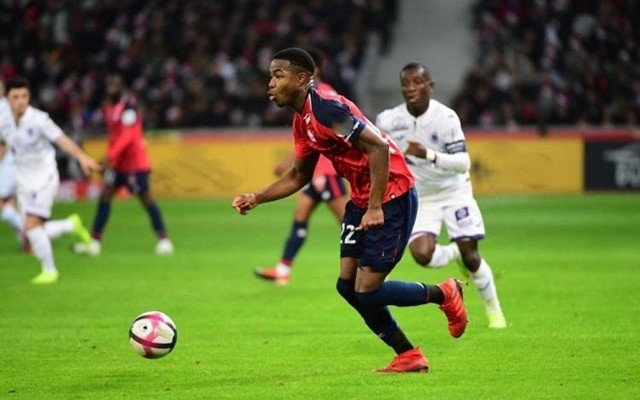 遇都彷佛是 遇都彷佛是