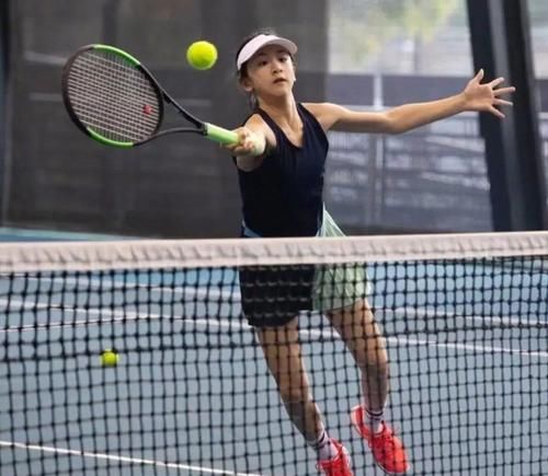 各具特色的 各具特色的